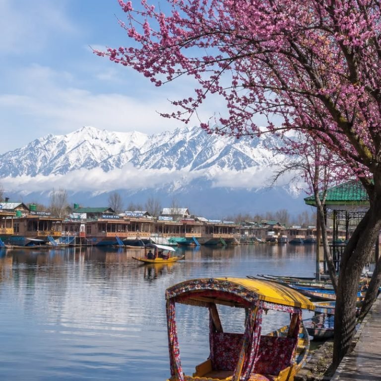 Dal Lake Kashmir in Spring 🌸 _ Stunning Shikara & Himalayan View Wallpaper