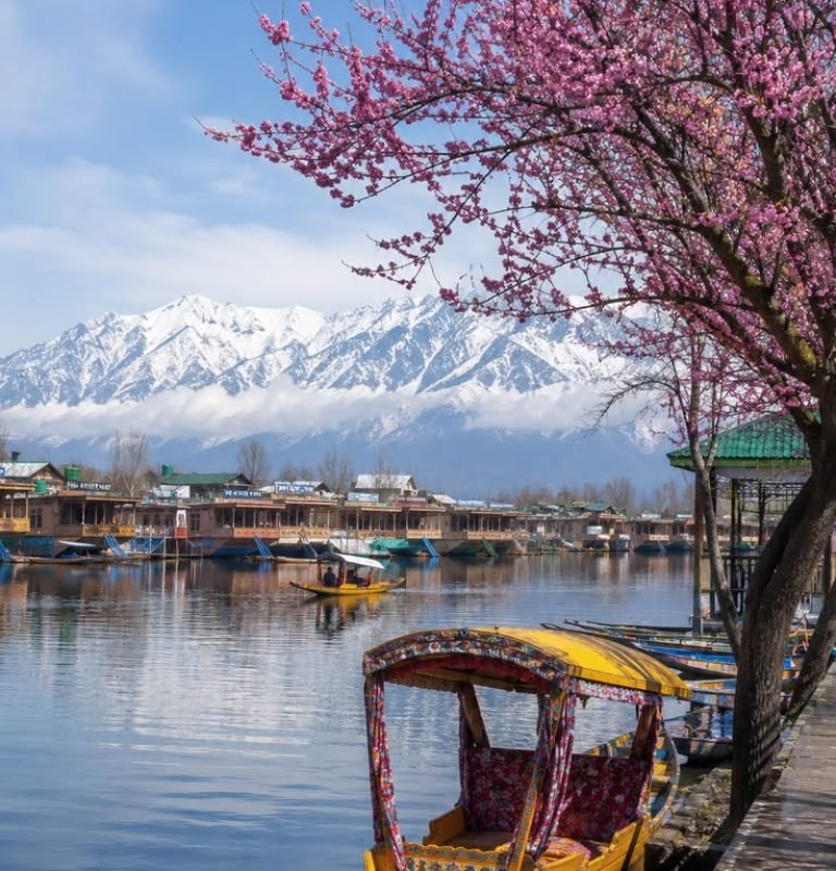 Dal Lake Kashmir in Spring 🌸 _ Stunning Shikara & Himalayan View Wallpaper