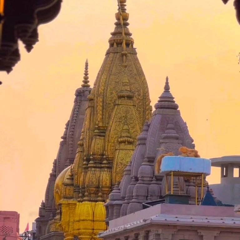 Kashi (1)