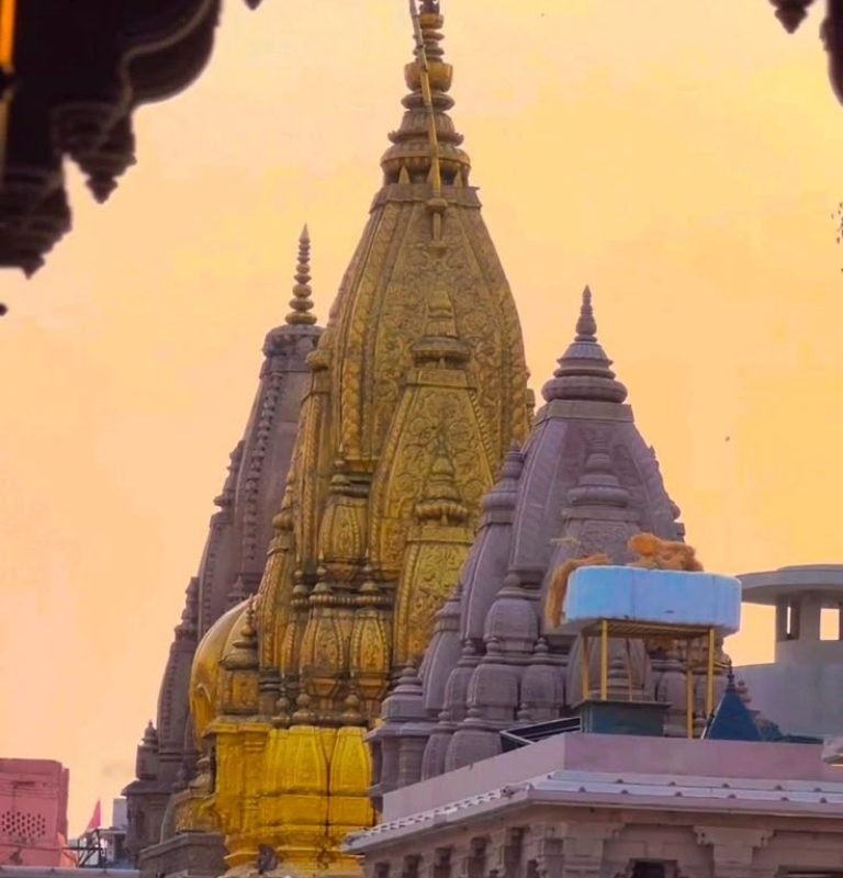 Kashi (1)